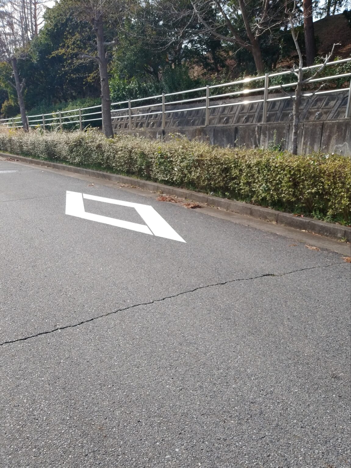 横断 歩道 又は 自転車 横断 帯 あり